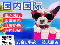 呼伦贝尔海拉尔机场托运国际宠物托运 【国